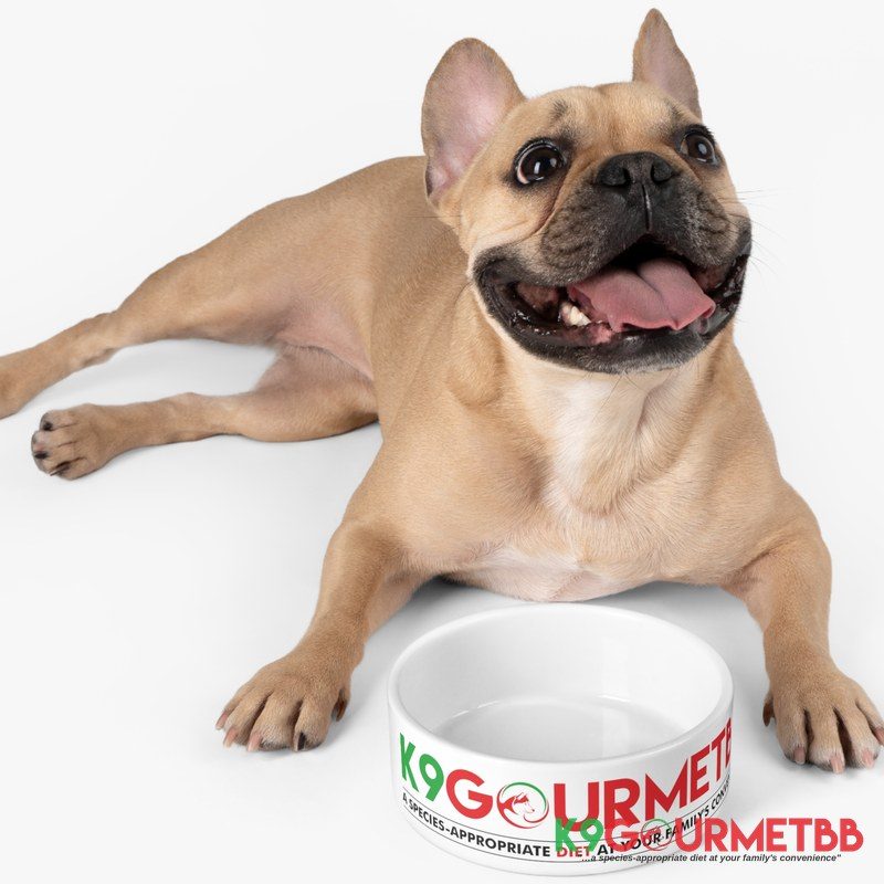 French Bulldog with K9GourmetBB branded feeding bowl