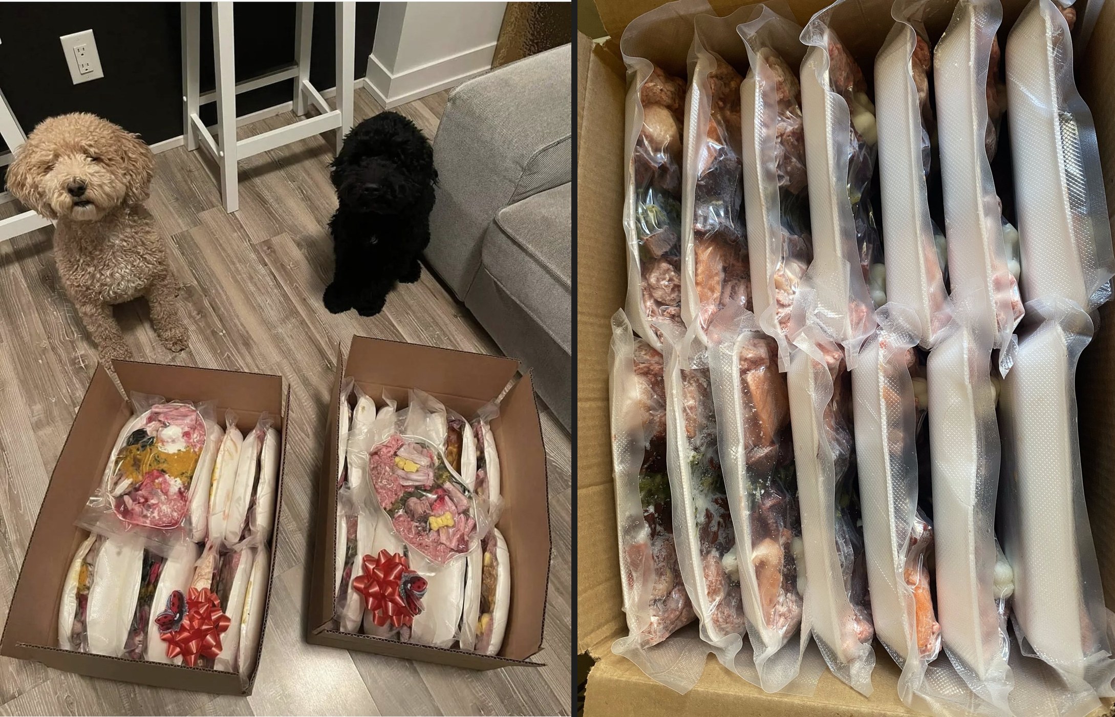 K9GourmetBB delivery — packing and meal